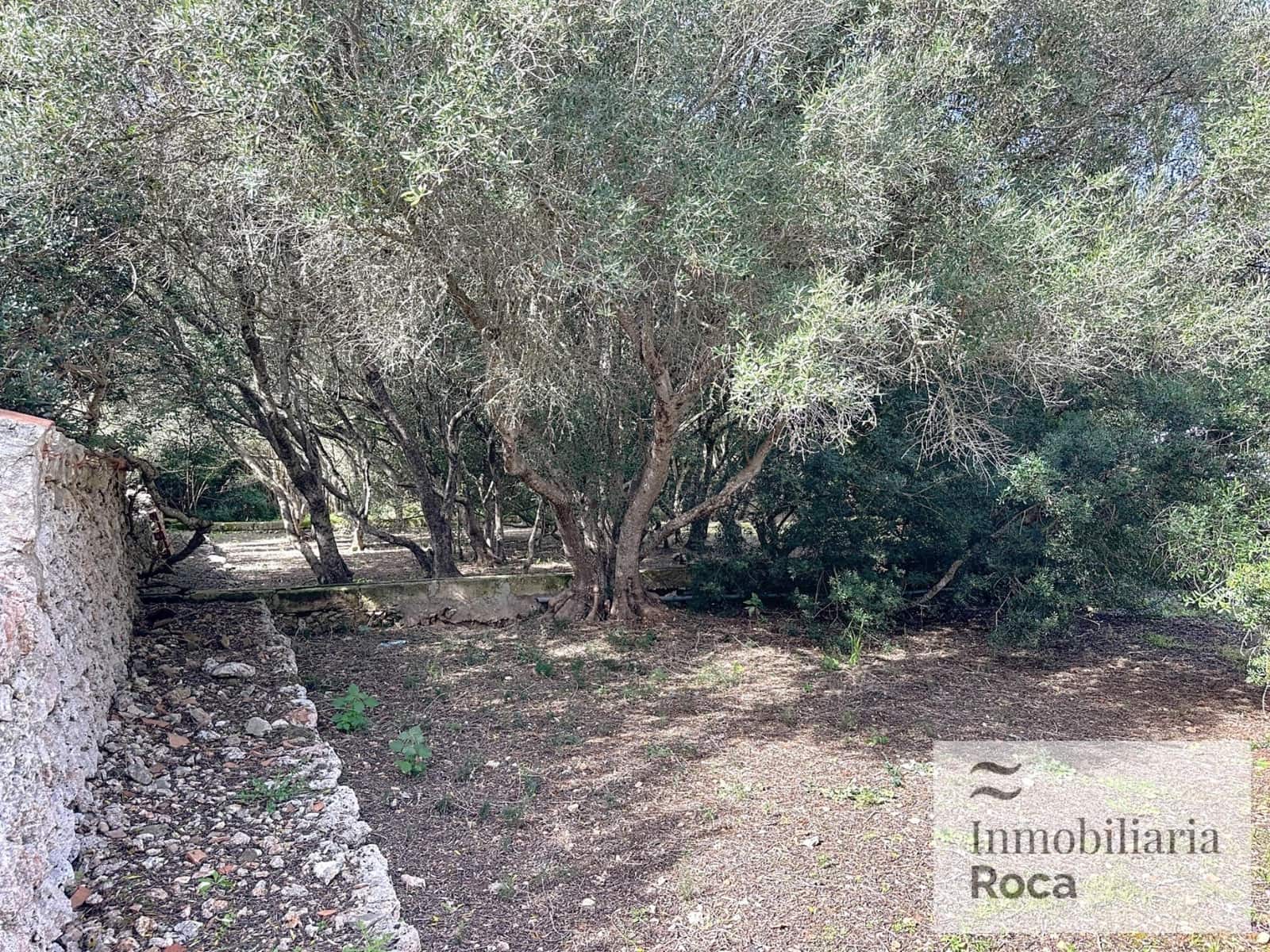 5 soveværelse Finca/Landehus til salg i Llucmacanes med swimmingpool garage - € 1.300.000 (Ref: 9029511)