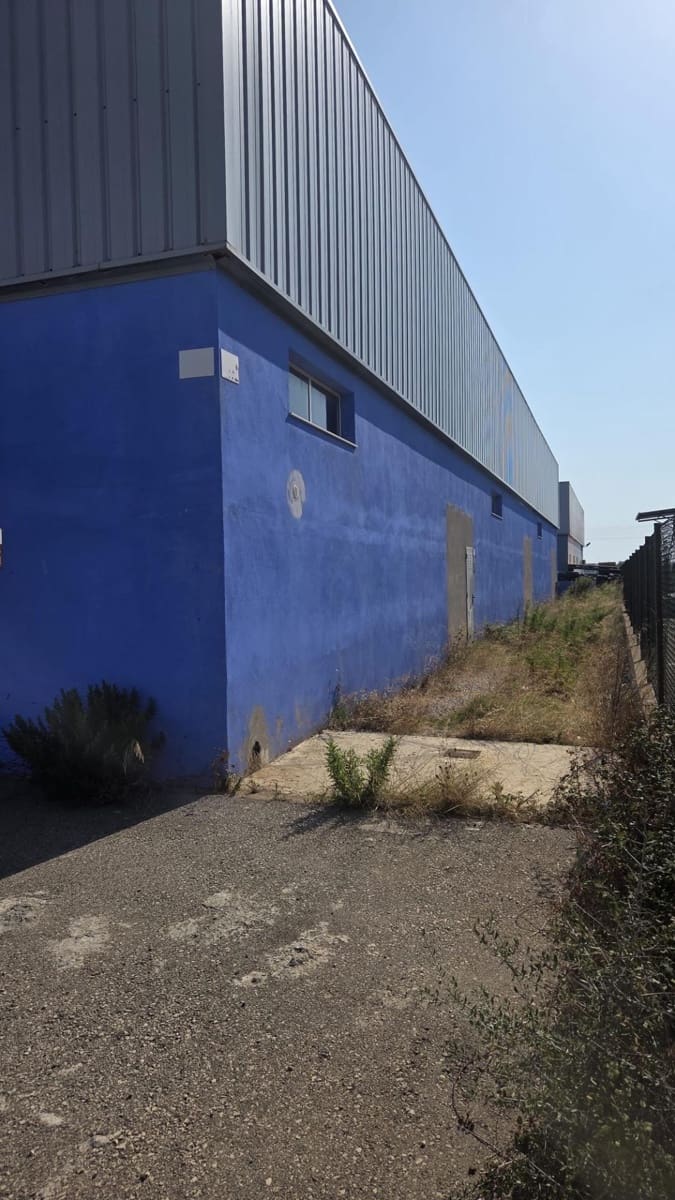 Virksomhed til salg i Ciutadella de Menorca - € 960.000 (Ref: 9171417)