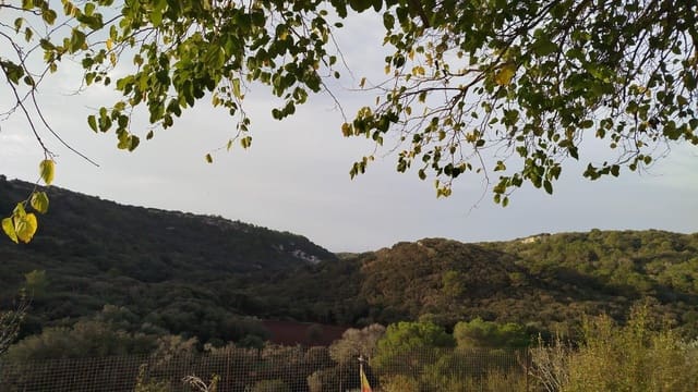 1 soverom Finca/Herregård til salgs i Ferreries med svømmebasseng - € 225 000 (Ref: 9415947)