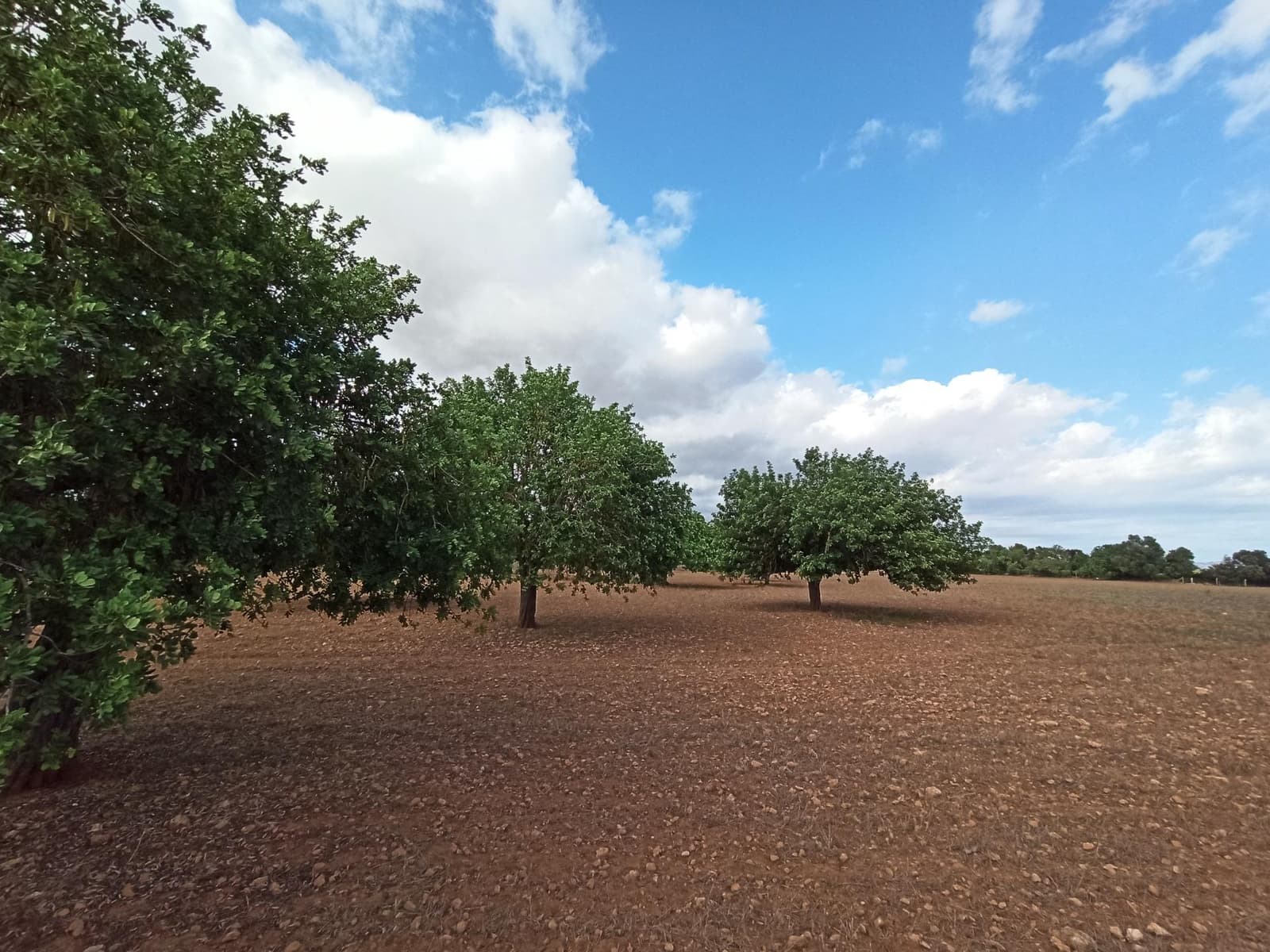 Finca/Country House for sale in Porreres - € 560,000 (Ref: 9257970)