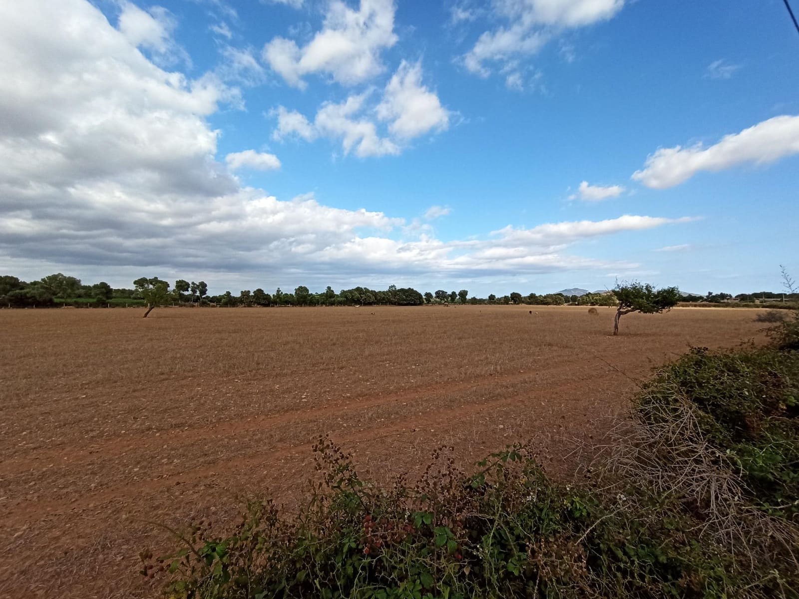 Finca/Country House for sale in Porreres - € 560,000 (Ref: 9257970)