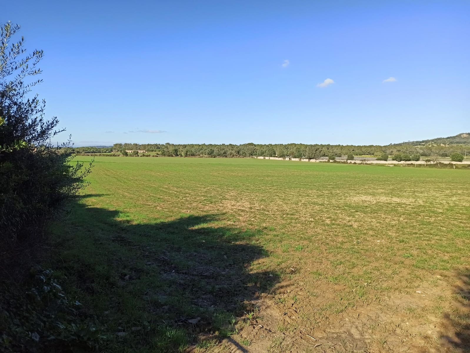 Finca/Country House for sale in Porreres - € 560,000 (Ref: 9257970)