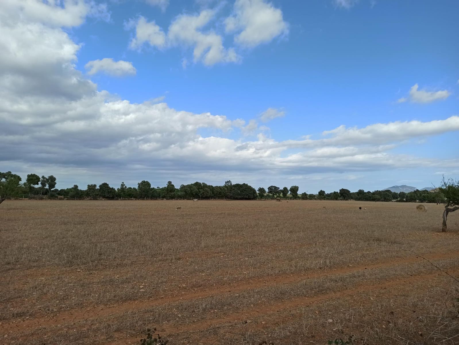 Finca/Country House for sale in Porreres - € 560,000 (Ref: 9257970)