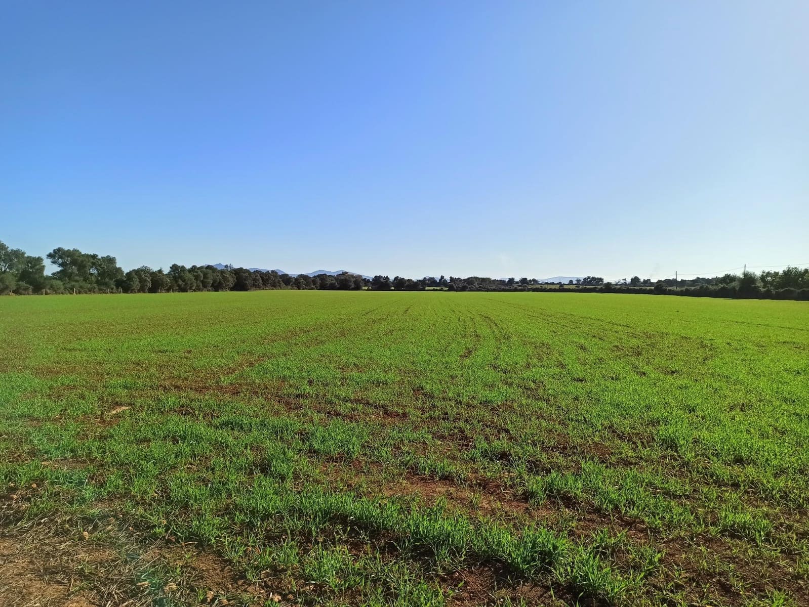 Finca/Country House for sale in Porreres - € 560,000 (Ref: 9257970)