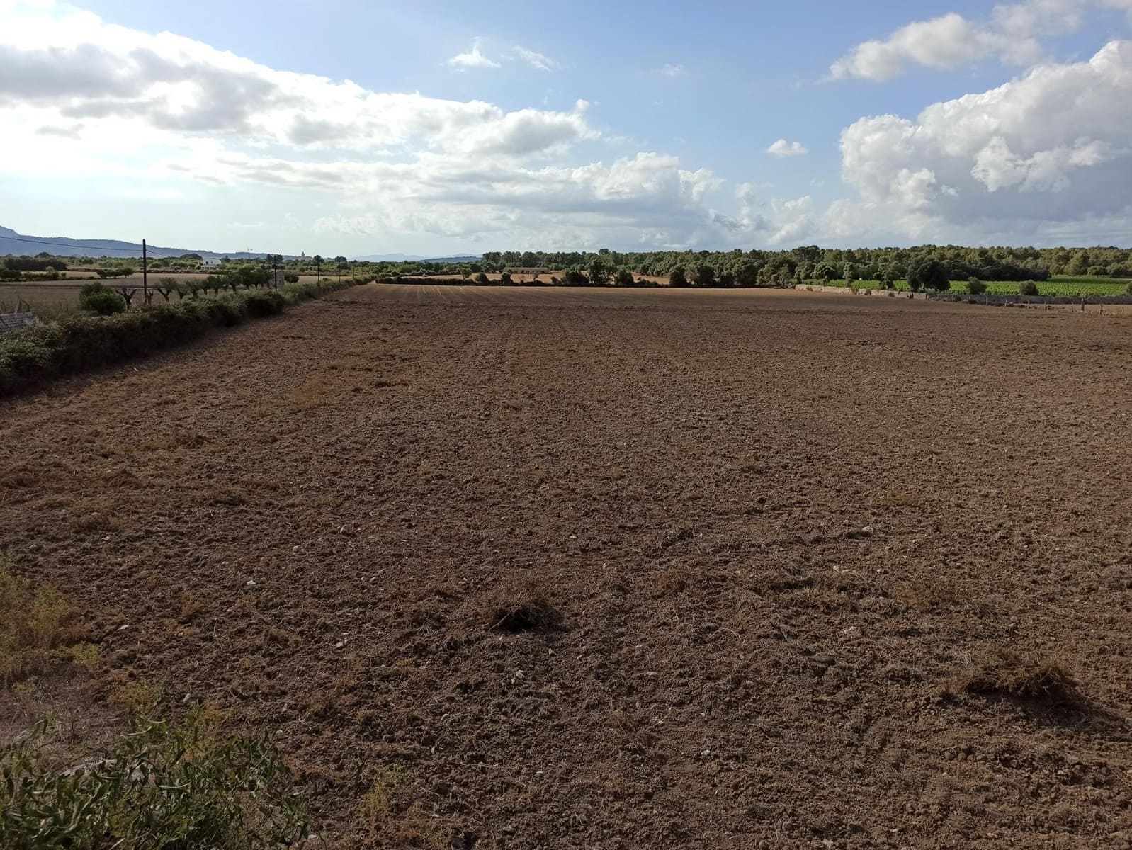 Mark till salu i Porreres - 240 000 € (Ref: 9257971)