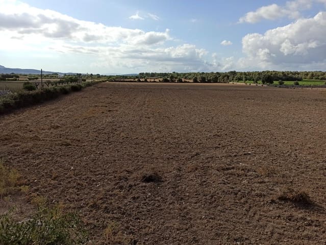 Mark till salu i Porreres - 240 000 € (Ref: 9257971)