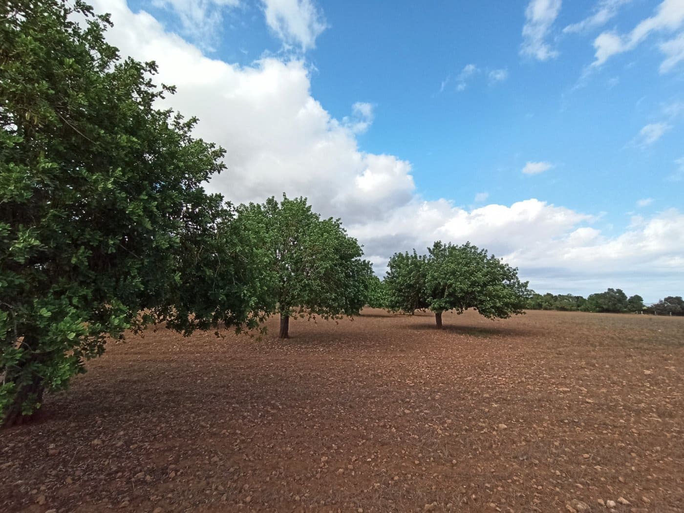 Finca/Country House for sale in Porreres - € 690,000 (Ref: 9406610)