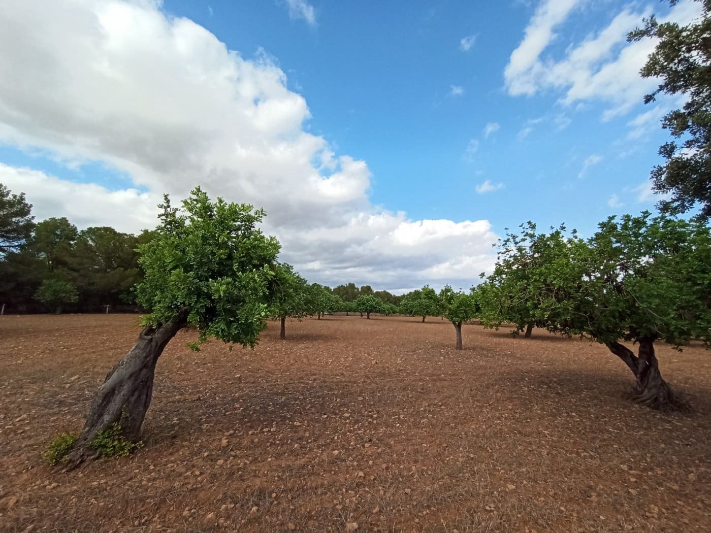 Finca/Country House for sale in Porreres - € 690,000 (Ref: 9406610)