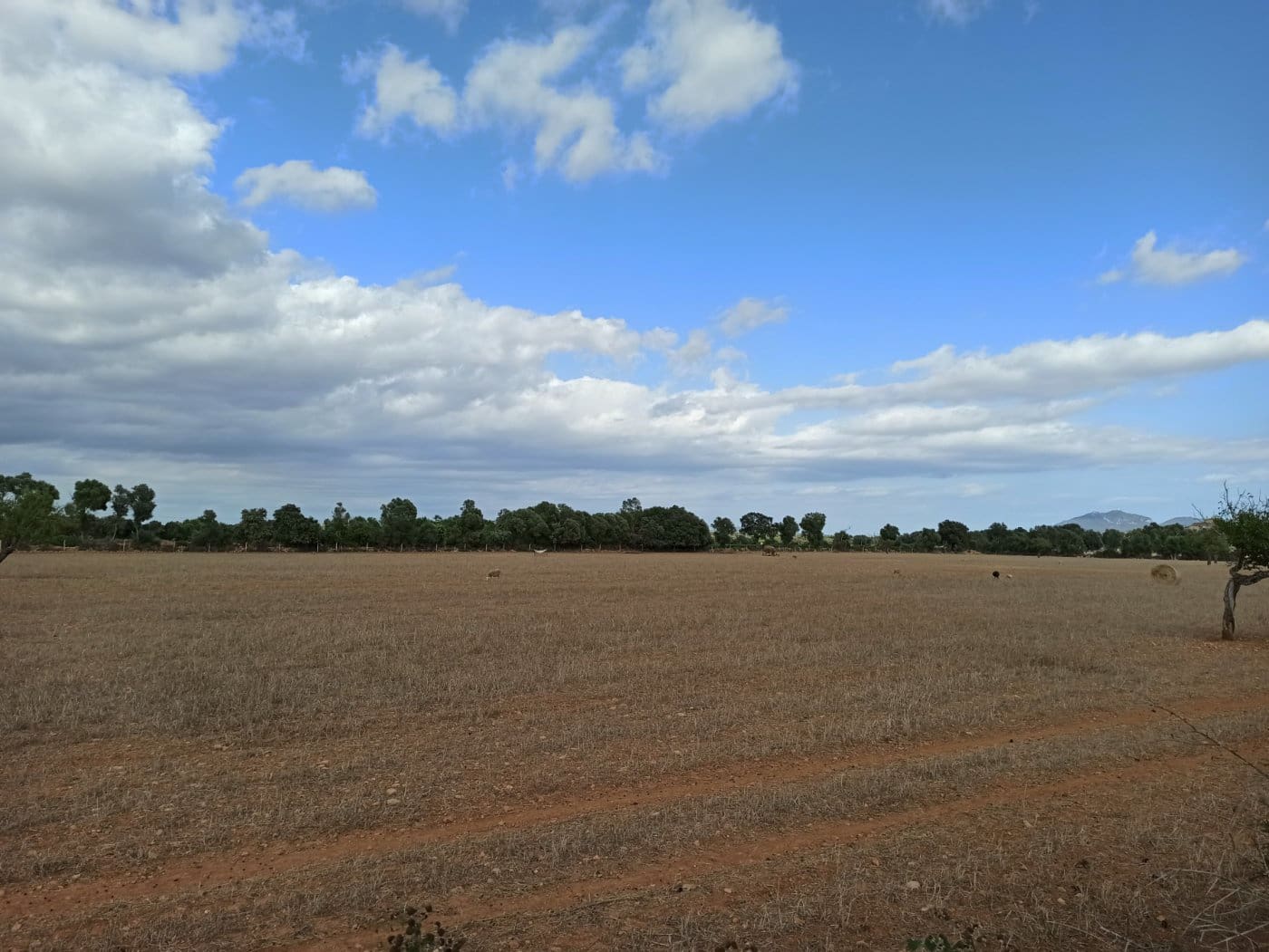 Finca/Country House for sale in Porreres - € 690,000 (Ref: 9406610)