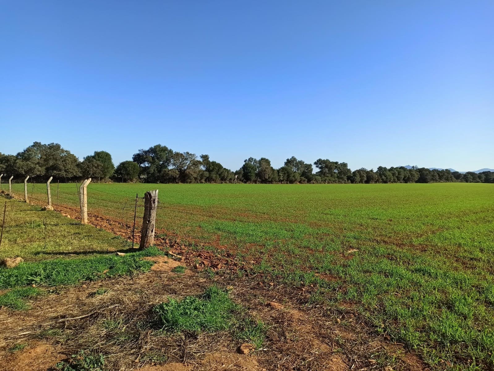 Finca/Country House for sale in Porreres - € 690,000 (Ref: 9406610)
