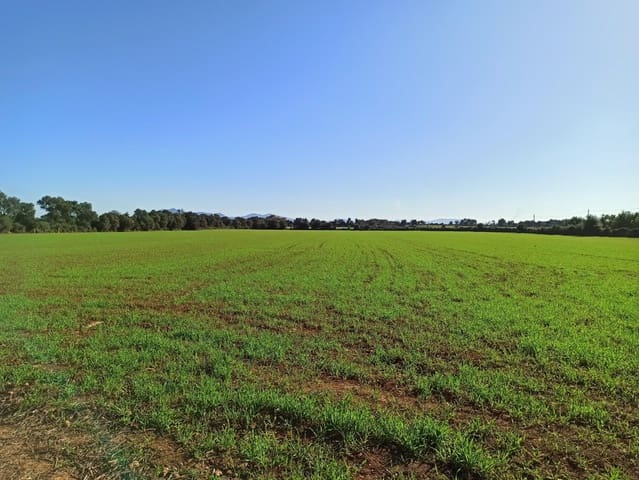 Finca/Herregård til salgs i Porreres - € 690 000 (Ref: 9406610)