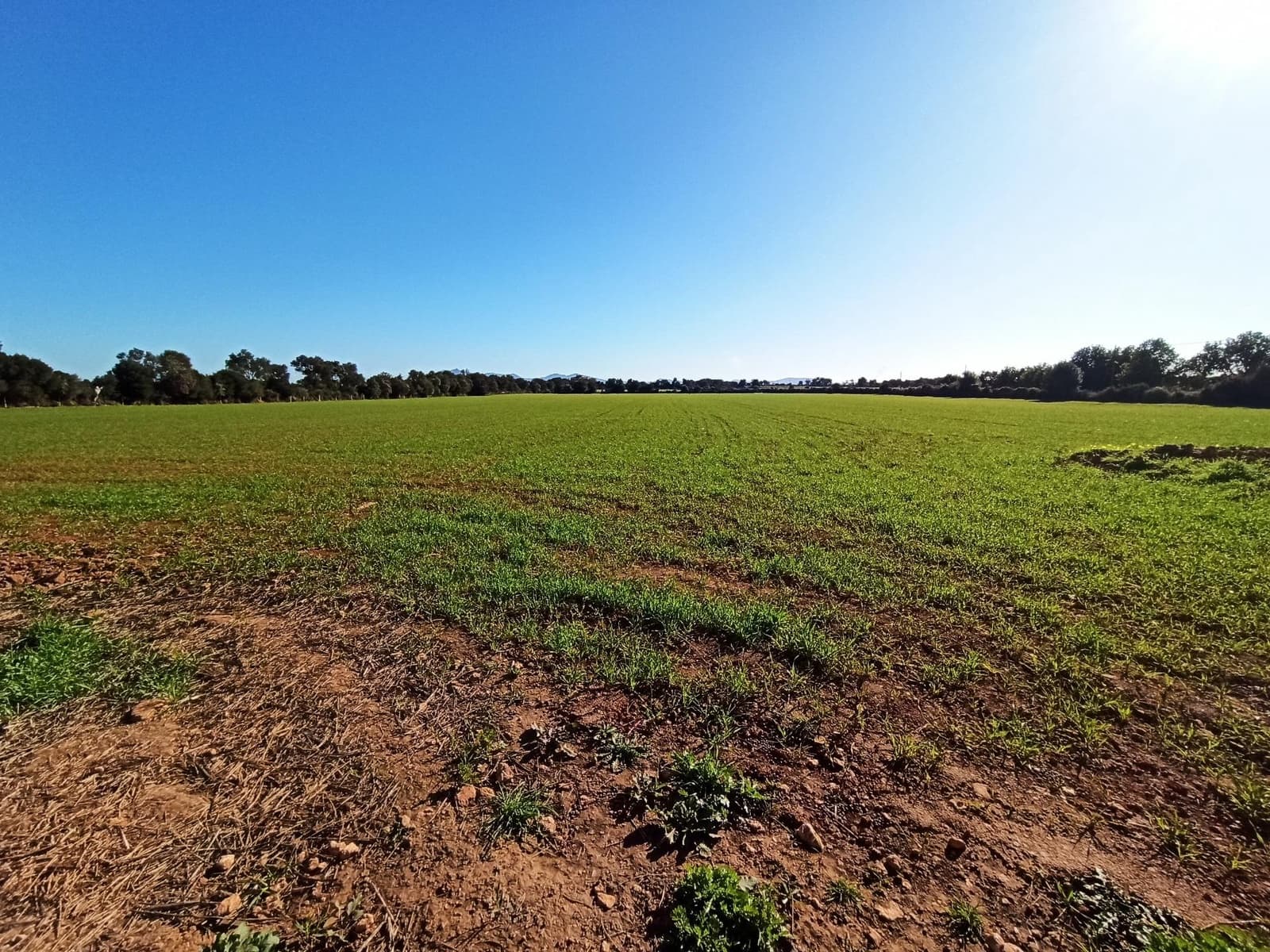 Finca/Country House for sale in Porreres - € 690,000 (Ref: 9406610)