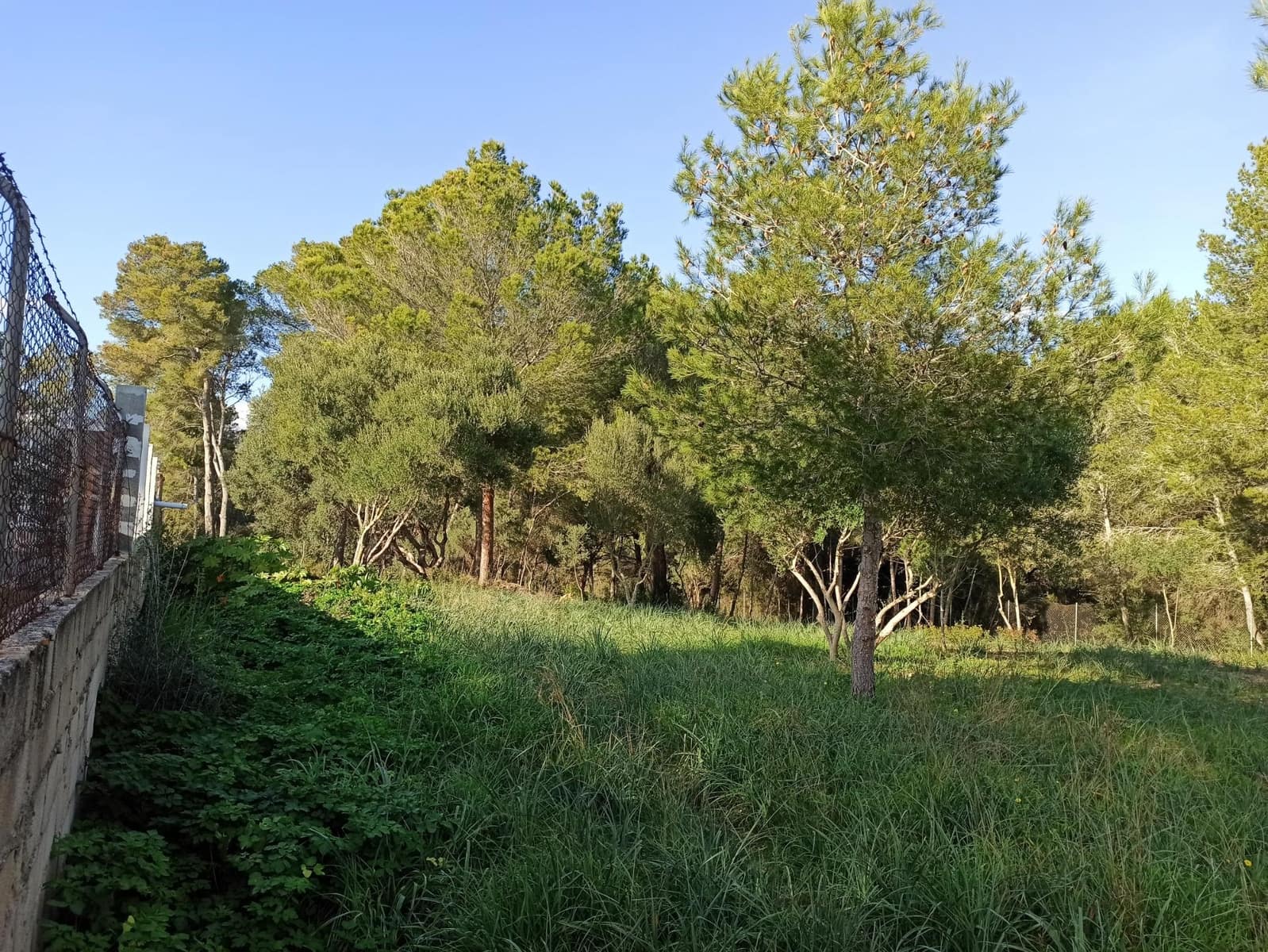 Bouwgrond te koop in Marratxi - € 290.000 (Ref: 9524484)