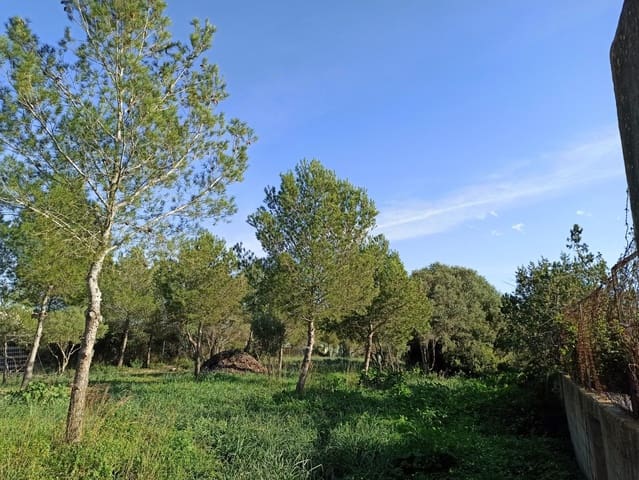 Bouwgrond te koop in Marratxí - € 290.000 (Ref: 9524484)