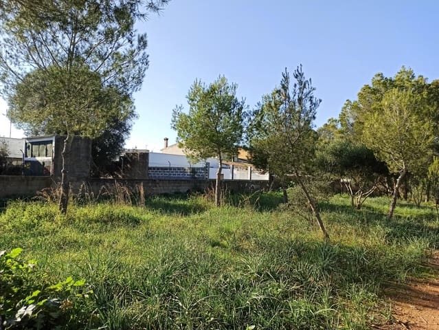 Bouwgrond te koop in Marratxí - € 290.000 (Ref: 9524484)