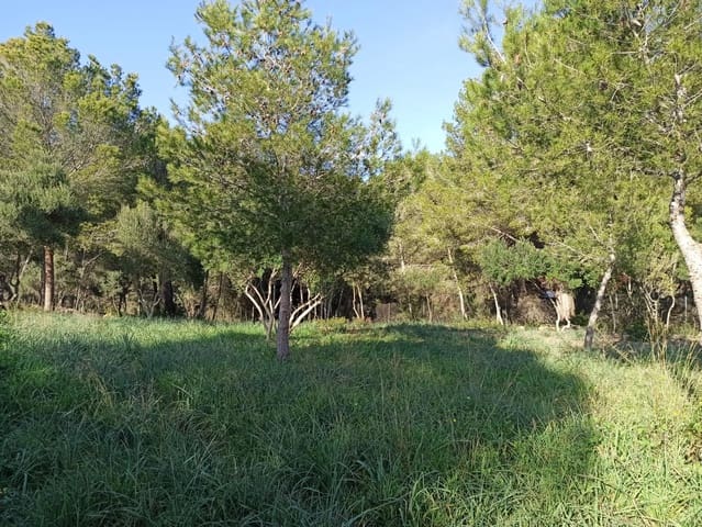 Bouwgrond te koop in Marratxí - € 290.000 (Ref: 9524484)