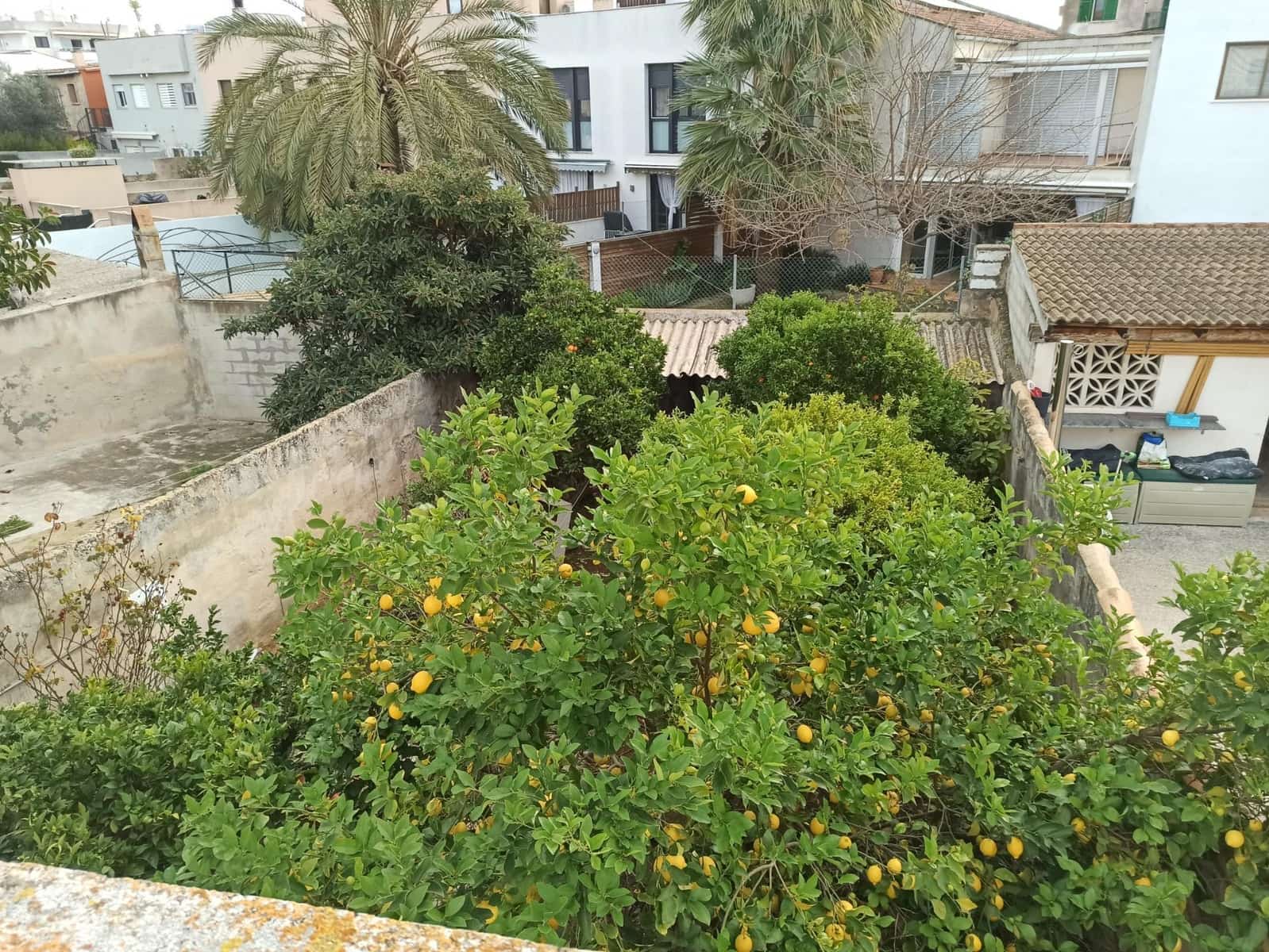 Building Plot for sale in Palma de Mallorca - € 550,000 (Ref: 9948074)