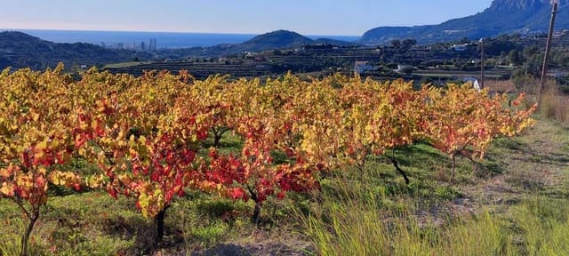 Terreno/Finca Rústica en Benissa en venta - 250.000 € (Ref: 9076443)