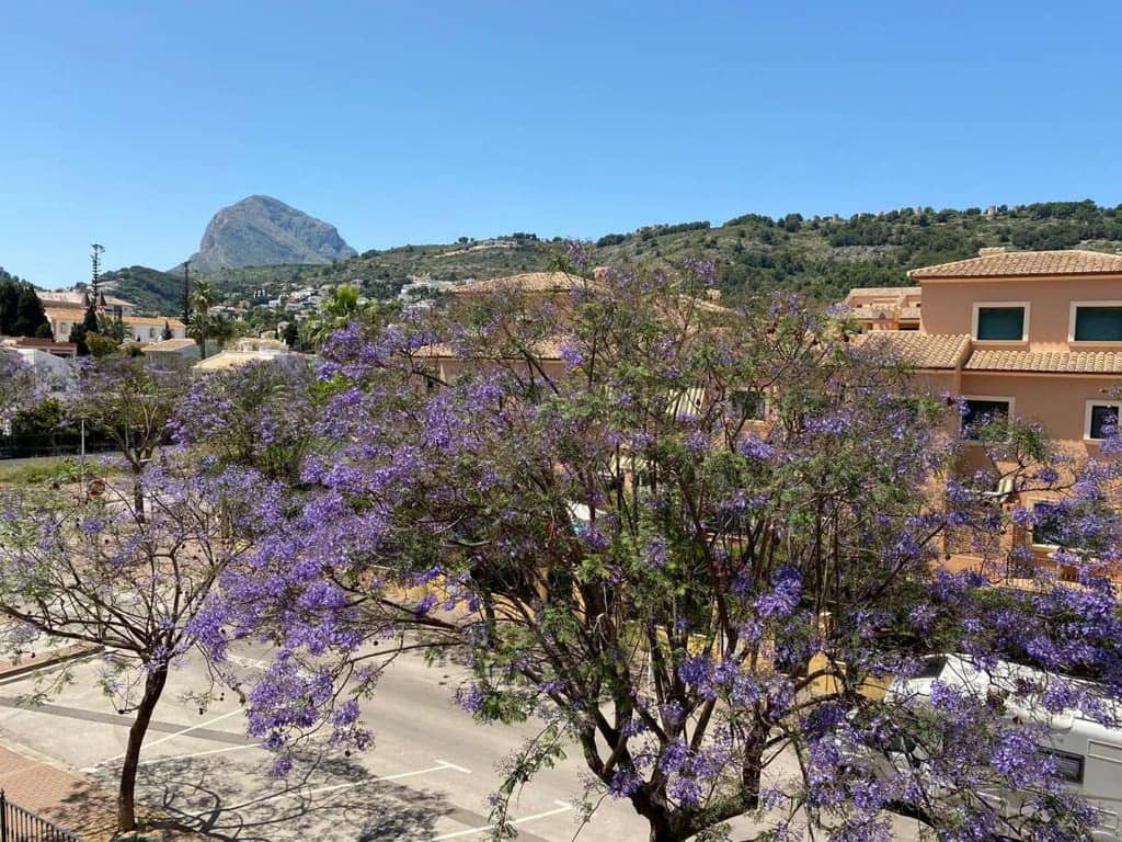 5 makuuhuone Omakotitalo vuokrattavana paikassa Javea / Xabia mukana uima-altaan 
autotalli - 2 600 € (Ref: 9076469)