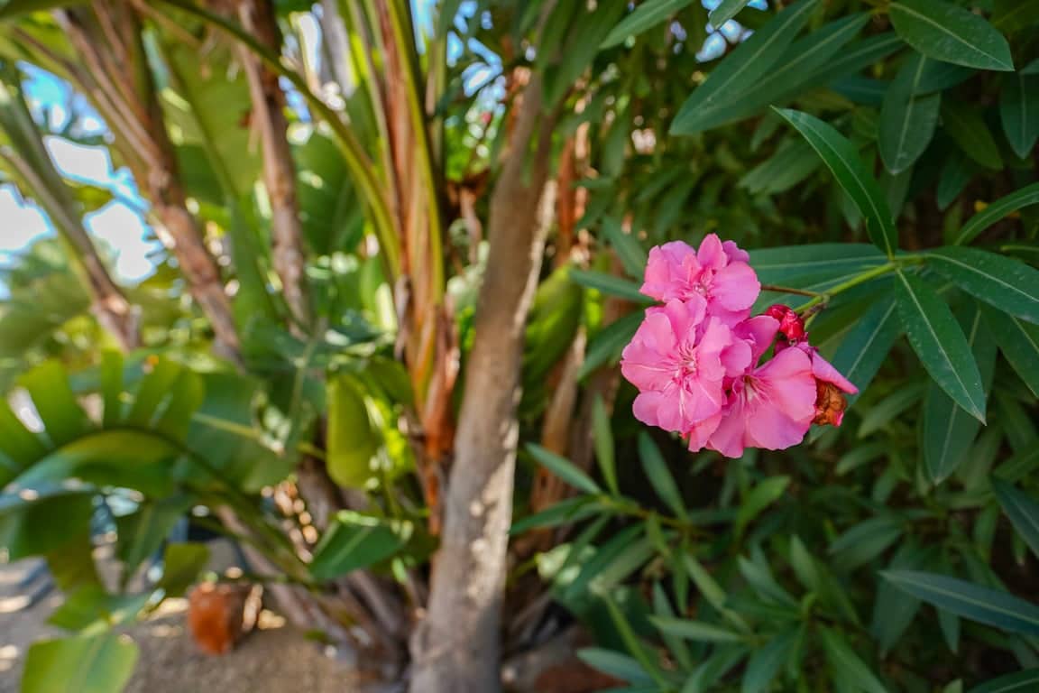 3 Zimmer Villa zu verkaufen in Javea / Xabia - 795.000 € (Ref: 9379656)