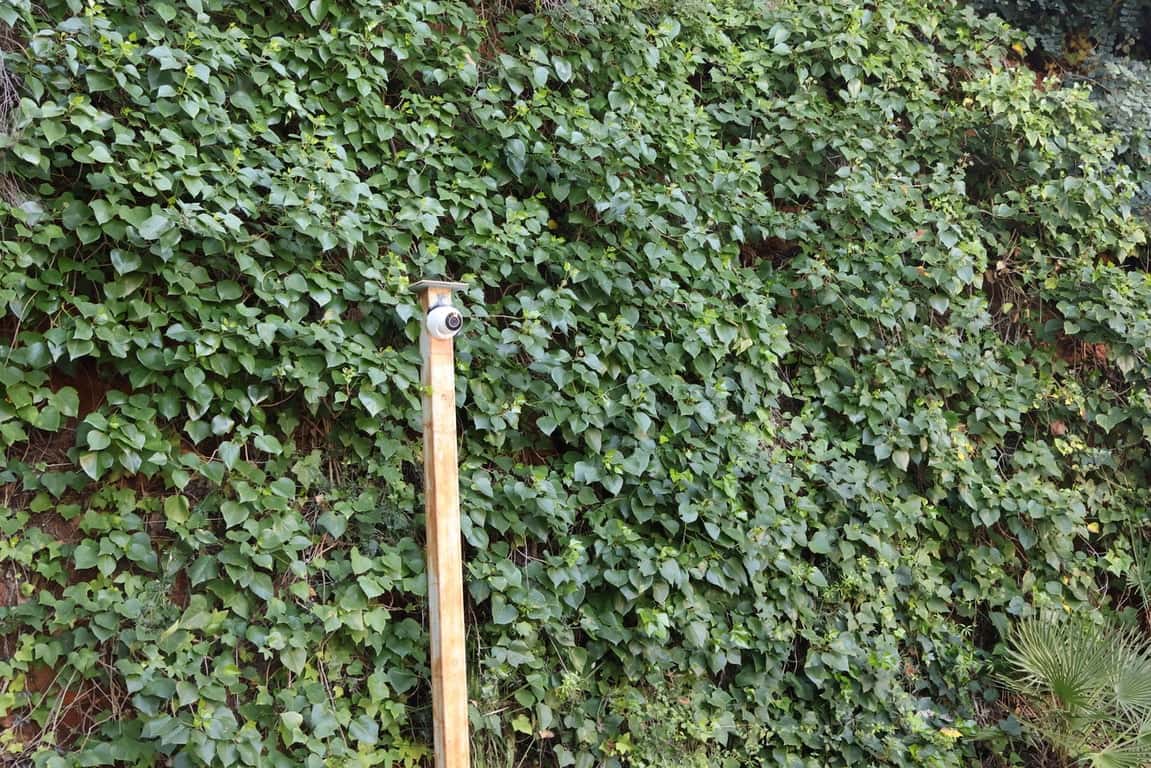 3 Zimmer Villa zu verkaufen in La Sella mit Pool - 785.000 € (Ref: 9386534)