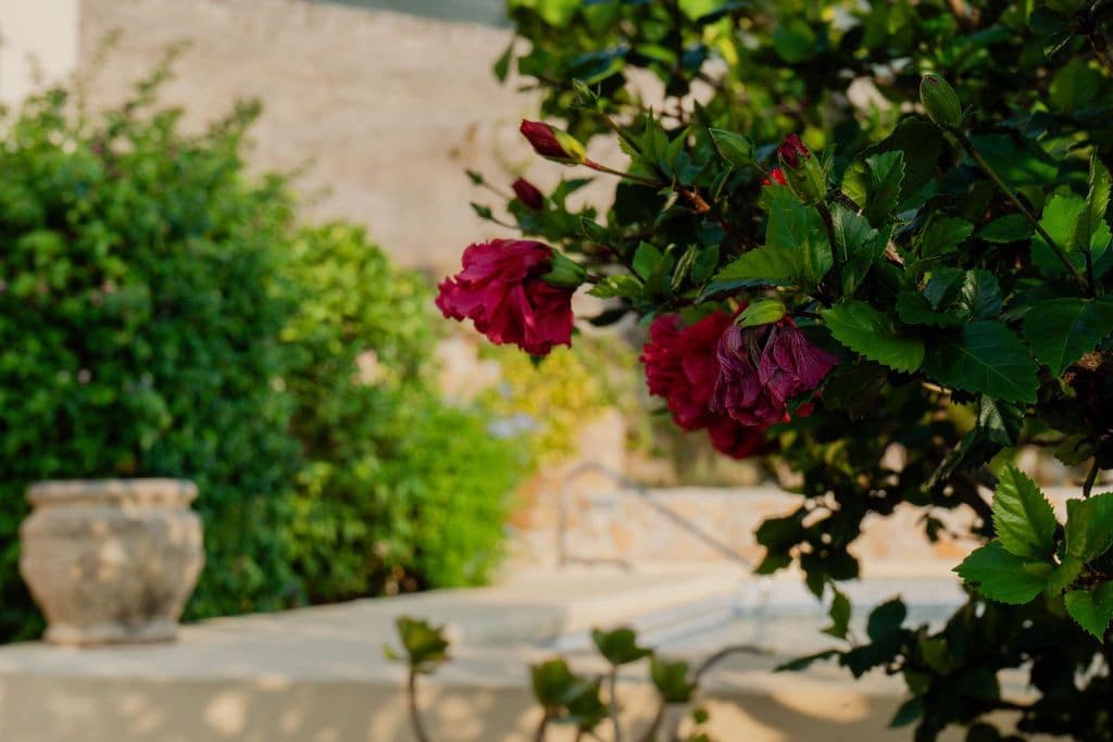 5 bedroom Villa for sale in Pedreguer with pool - € 650,000 (Ref: 9522828)