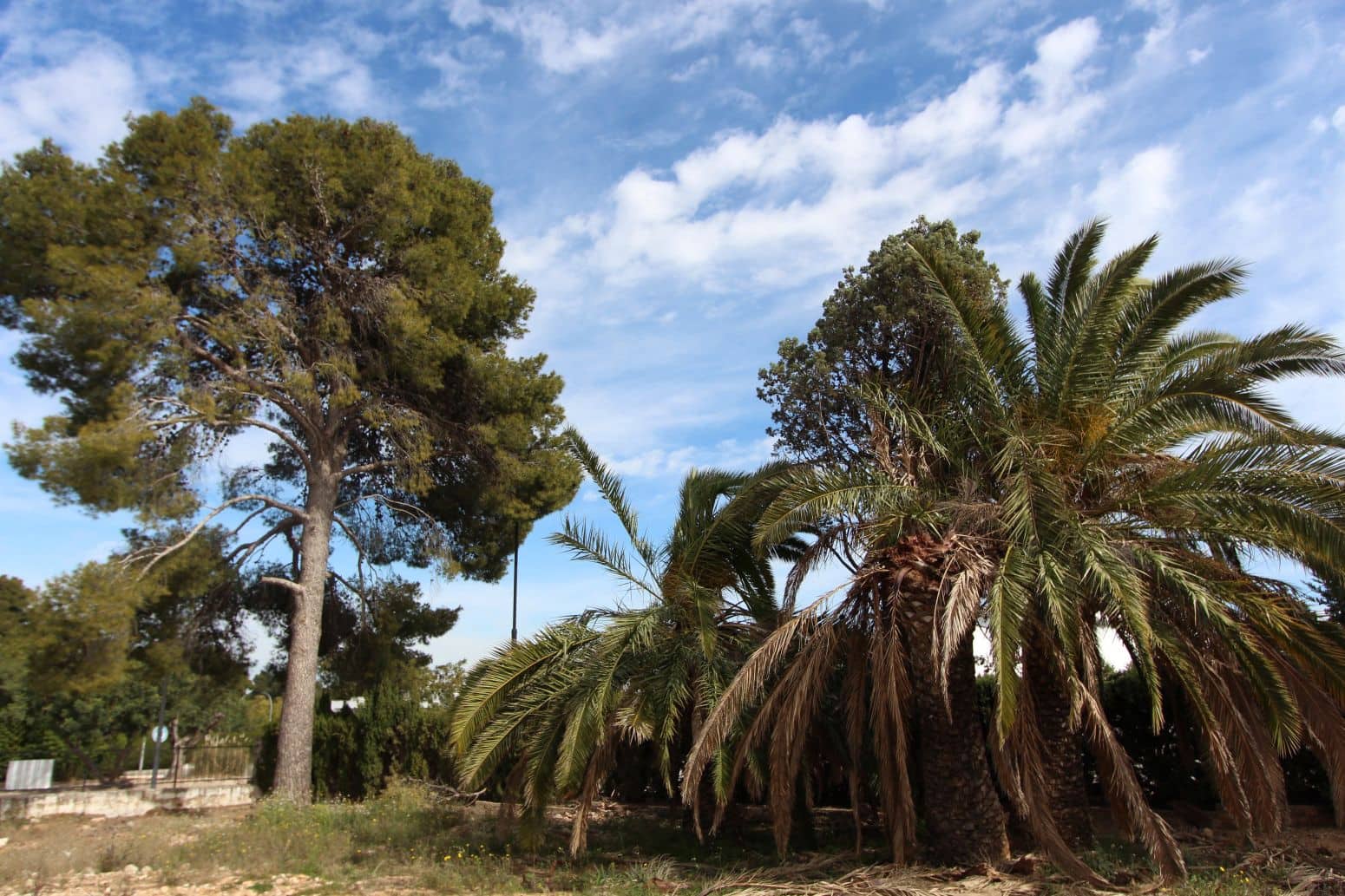 Terrain à Bâtir à vendre à Torrent - 299 000 € (Ref: 9003390)