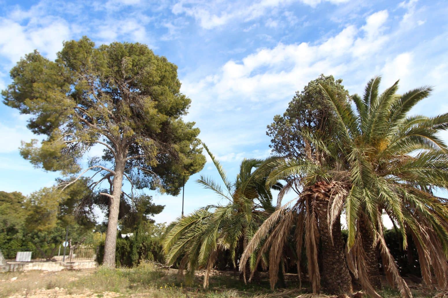 Terrain à Bâtir à vendre à Torrent - 299 000 € (Ref: 9003390)