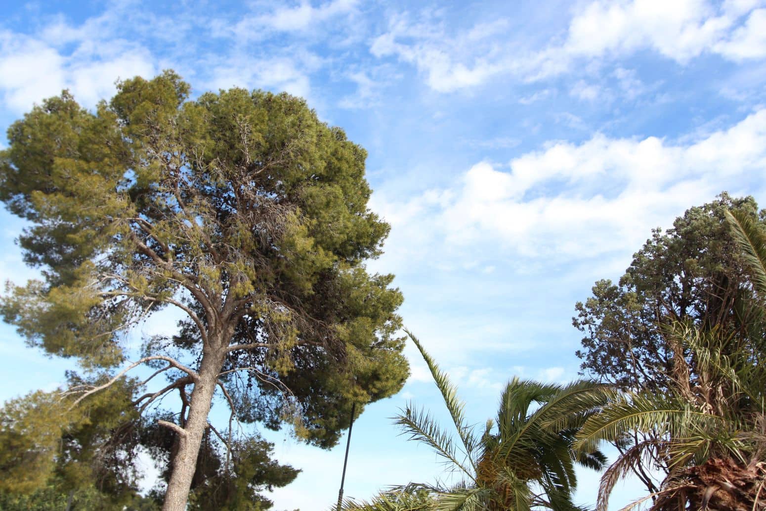 Terrain à Bâtir à vendre à Torrent - 299 000 € (Ref: 9003390)