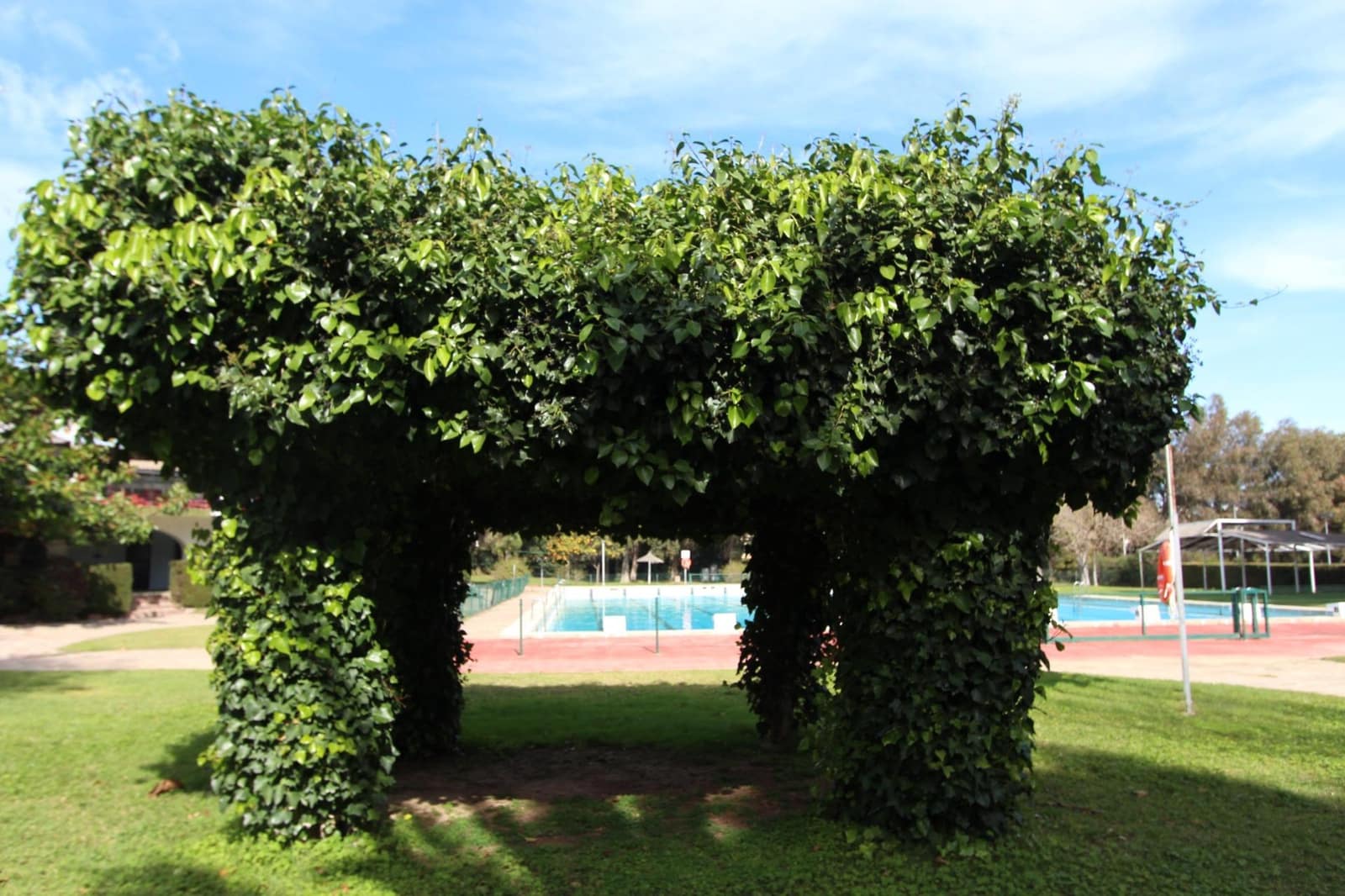 Terrain à Bâtir à vendre à Torrent - 299 000 € (Ref: 9003390)