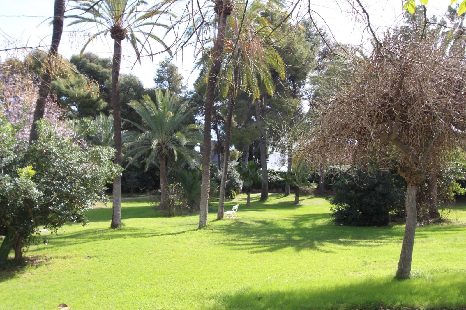 Terrain à Bâtir à vendre à Torrent - 299 000 € (Ref: 9003390)