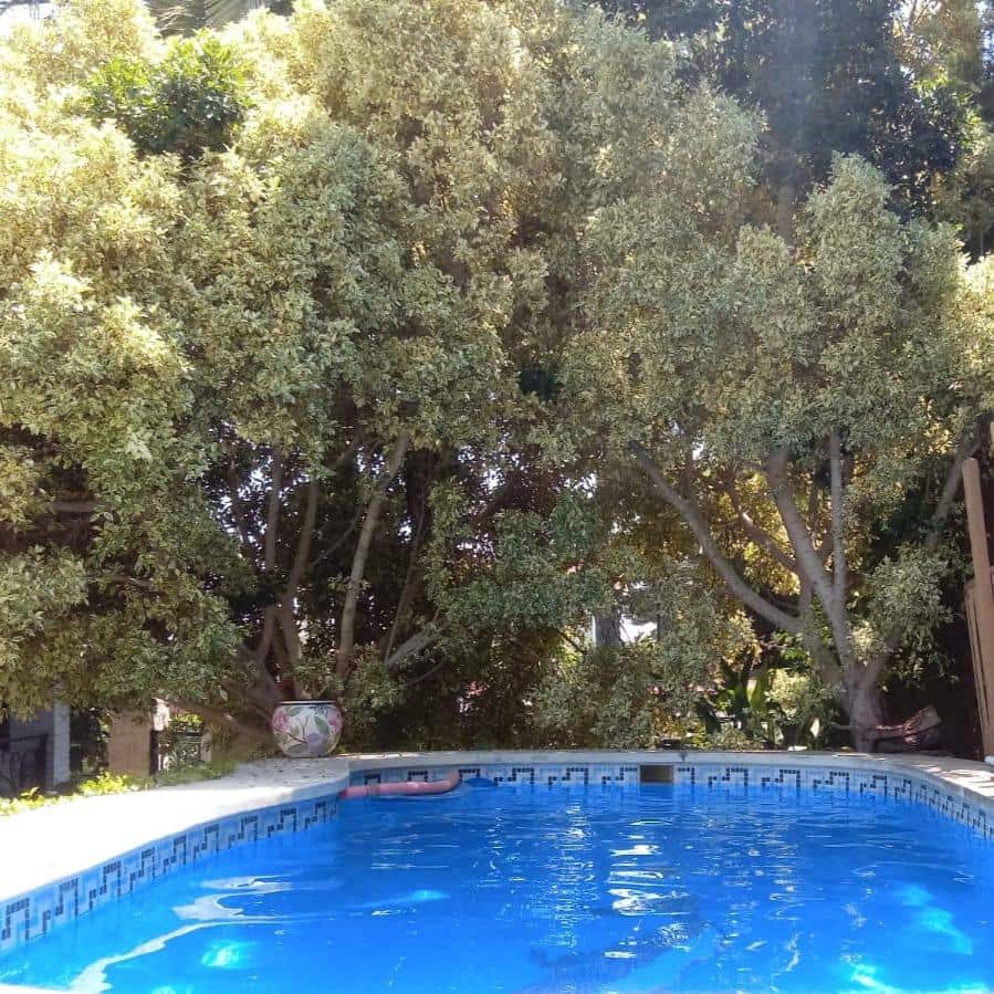 4 soveværelse Villa til salg i Torrent med swimmingpool - € 530.000 (Ref: 9215411)