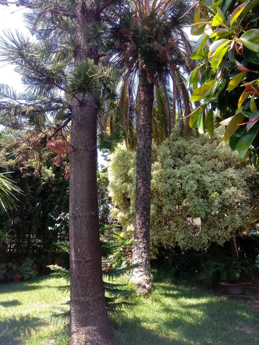 4 soveværelse Villa til salg i Torrent med swimmingpool - € 530.000 (Ref: 9215411)