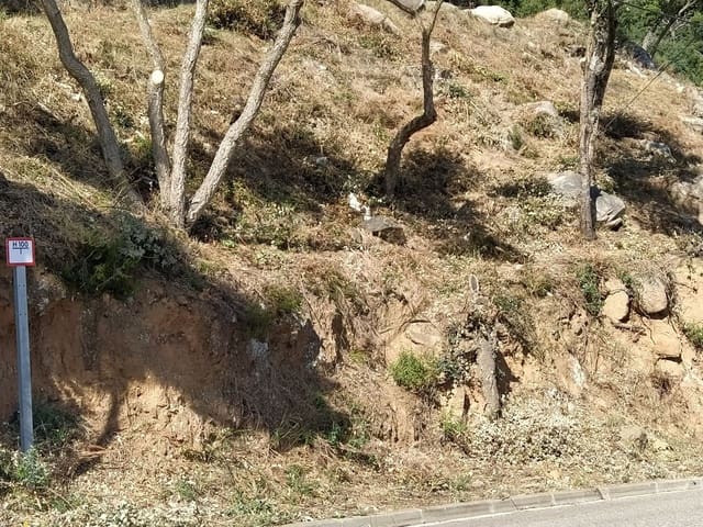 Teren niezagospodarowany na sprzedaż w Calonge i Sant Antoni - 110 000 € (Ref: 7424746)