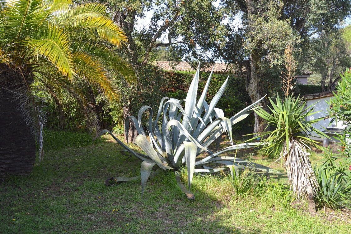 4 sypialnia Willa na sprzedaż w Santa Cristina d'Aro - 695 000 € (Ref: 8226229)