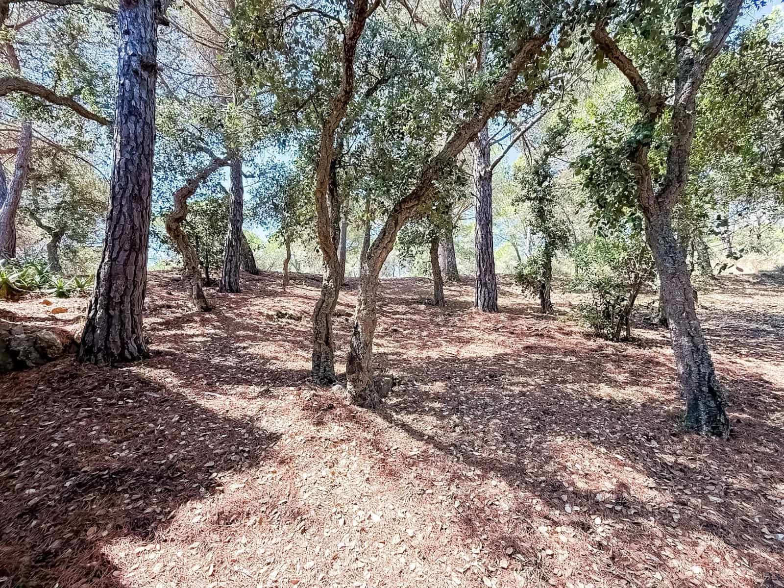 6 soverom Villa til salgs i Sant Antoni de Calonge - € 435 000 (Ref: 9426941)