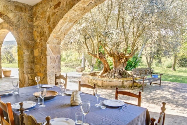 10 soveværelse Finca/Landehus til salg i Sant Martí Vell med swimmingpool garage - € 2.000.000 (Ref: 9937790)