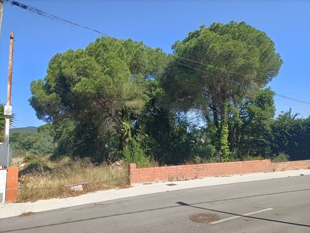 Ubebygd land til salgs i Calonge i Sant Antoni - € 195 000 (Ref: 9947448)