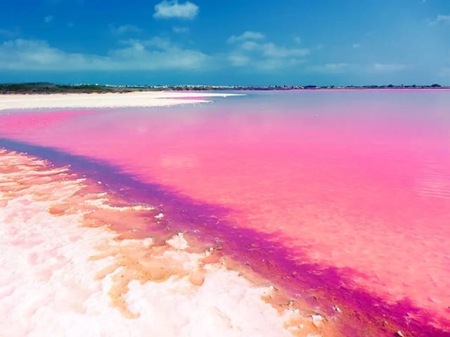 1 soveværelse Lejlighed til salg i El Chaparral - La Siesta - La Torreta, Torrevieja med swimmingpool garage - € 229.000 (Ref: 9789317)