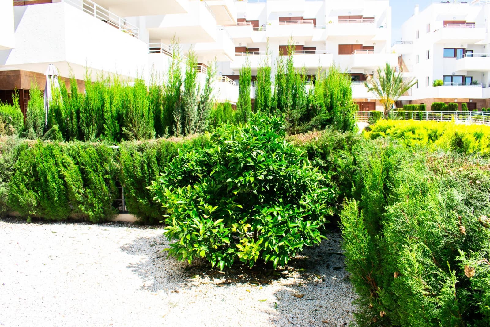 2 sovrum Lägenhet till salu i Orihuela Costa med pool garage - 246 000 € (Ref: 9818882)
