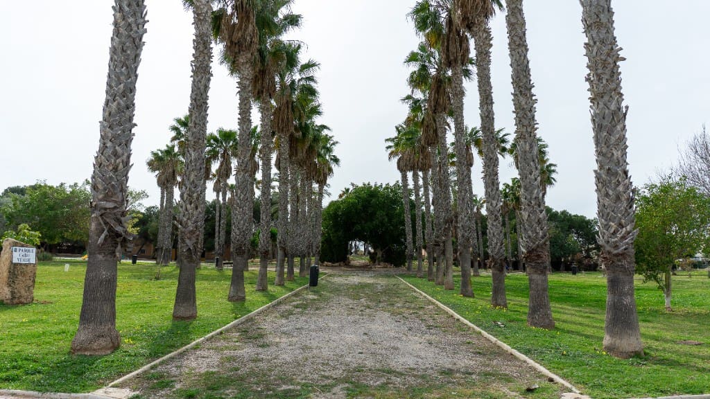 2 bedroom Villa for sale in Los Altos - € 290,000 (Ref: 9818928)