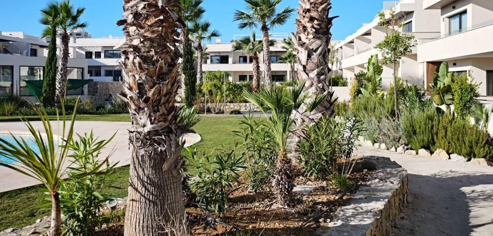 2 soveværelse Lejlighed til salg i Torrevieja med swimmingpool garage - € 379.000 (Ref: 9819014)