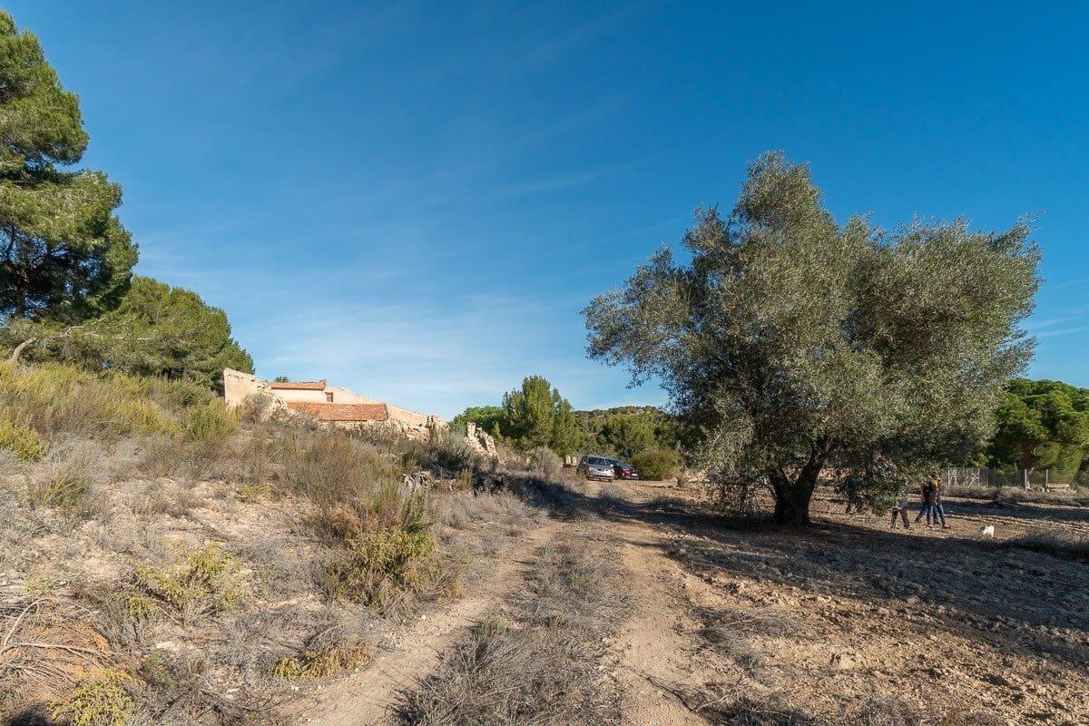 3 soverom Finca/Herregård til salgs i Pilar de la Horadada - € 645 000 (Ref: 9819085)