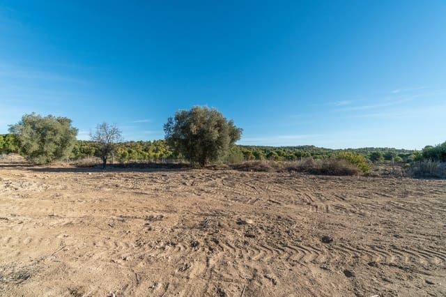 3 soverom Finca/Herregård til salgs i Pinar de Campoverde, Pilar de la Horadada - € 645 000 (Ref: 9819085)