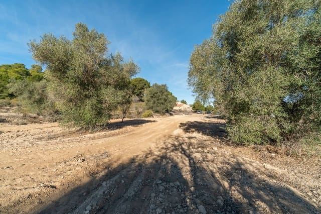 3 soverom Finca/Herregård til salgs i Pinar de Campoverde, Pilar de la Horadada - € 645 000 (Ref: 9819085)