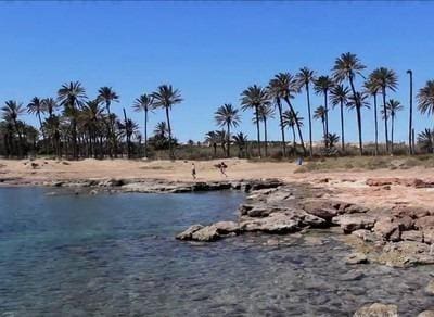 2 quarto Penthouse para venda em Torrevieja com piscina - 258 150 € (Ref: 9865981)