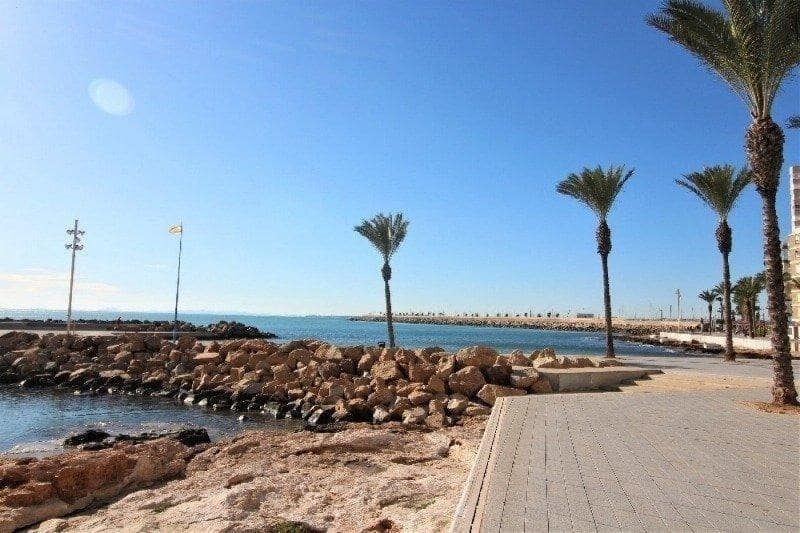 Apartamento de 2 habitaciones en Torrevieja en venta con piscina - 144.228 € (Ref: 9865984)