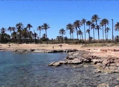 3 makuuhuone Kattohuoneisto myytävänä paikassa Torrevieja mukana uima-altaan - 295 000 € (Ref: 9869495)