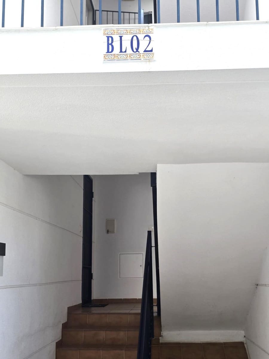 3 makuuhuone Kattohuoneisto myytävänä paikassa Torrevieja mukana uima-altaan - 295 000 € (Ref: 9869495)