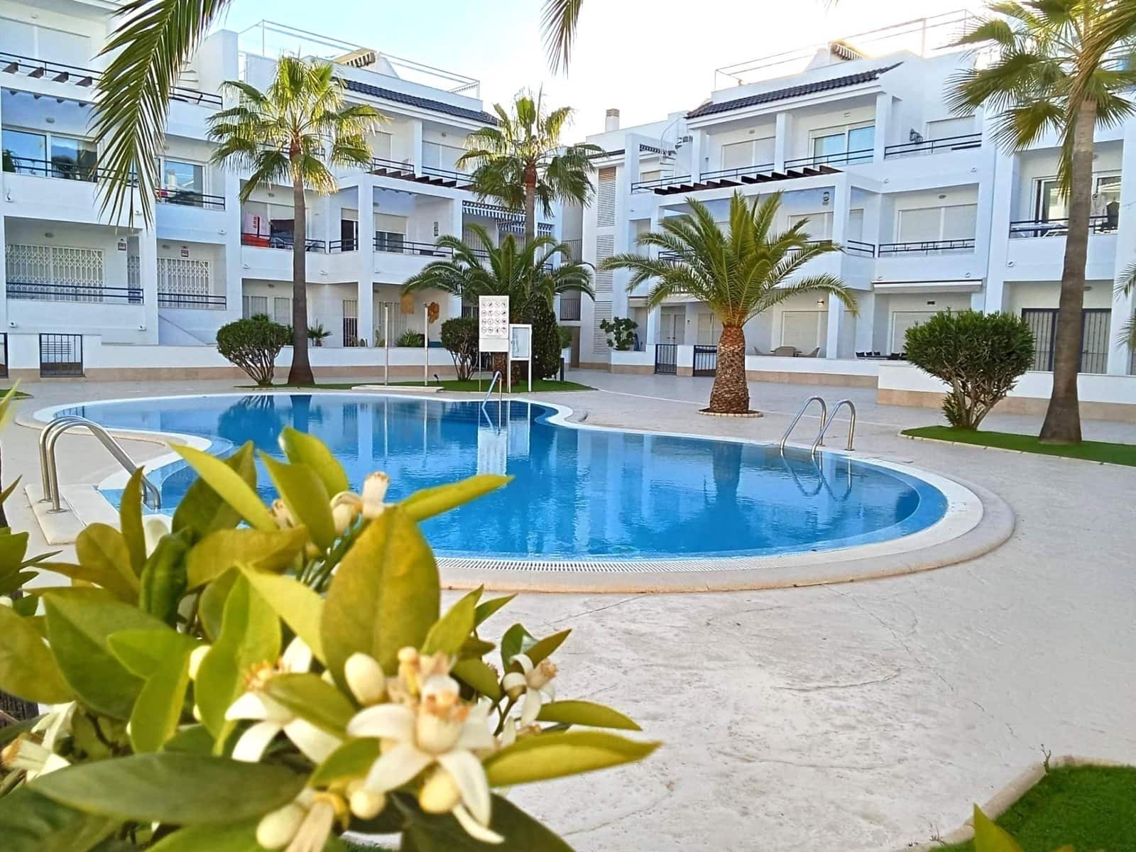 3 makuuhuone Kattohuoneisto myytävänä paikassa Torrevieja mukana uima-altaan - 295 000 € (Ref: 9869495)